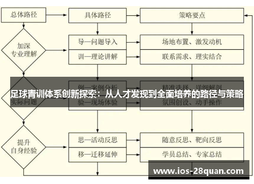 足球青训体系创新探索：从人才发现到全面培养的路径与策略