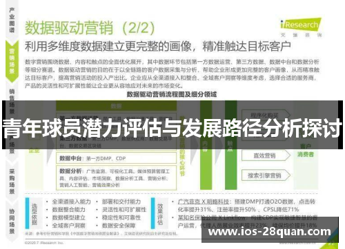 青年球员潜力评估与发展路径分析探讨