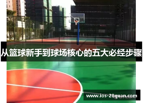 从篮球新手到球场核心的五大必经步骤